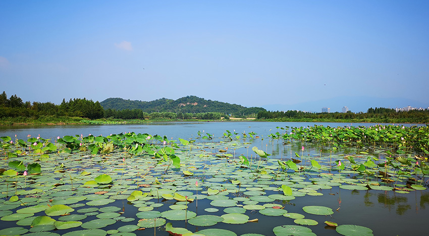 池州水環(huán)境PPP-南湖項目